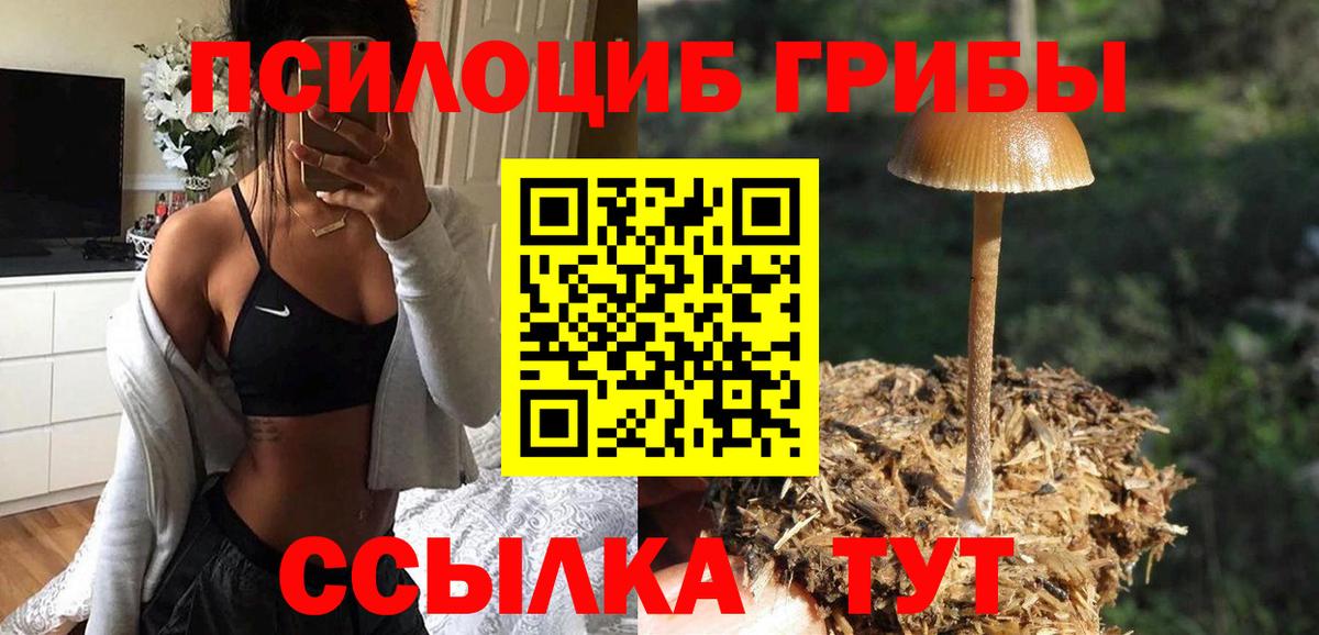 Псилоцибиновые грибы Psilocybe Фролово