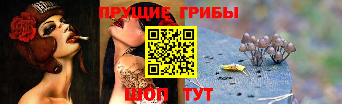 Фролово  Галлюциногенные грибы Psilocybine cubensis  Вход с VPN 